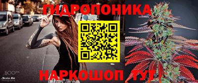 гашик Волжск