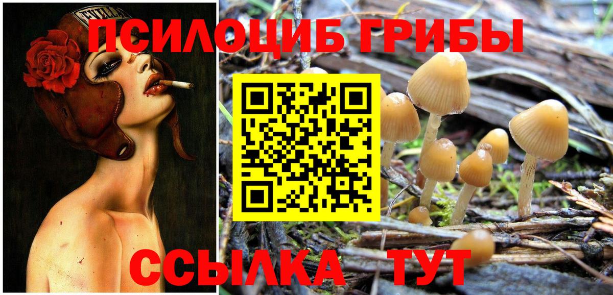 Псилоцибиновые грибы прущие грибы Нижний Новгород