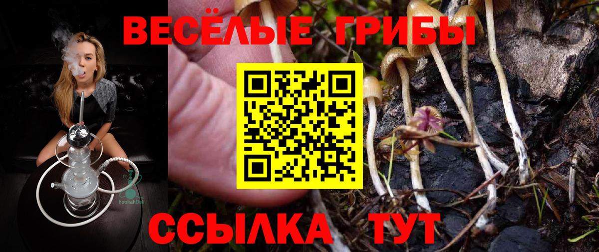ГАШ  LSD-25  Меф  COCAIN  Канабис  Меф МЯУ МЯУ кристаллы  Нижний Новгород  Вход с VPN  Магазины продажи наркотиков 