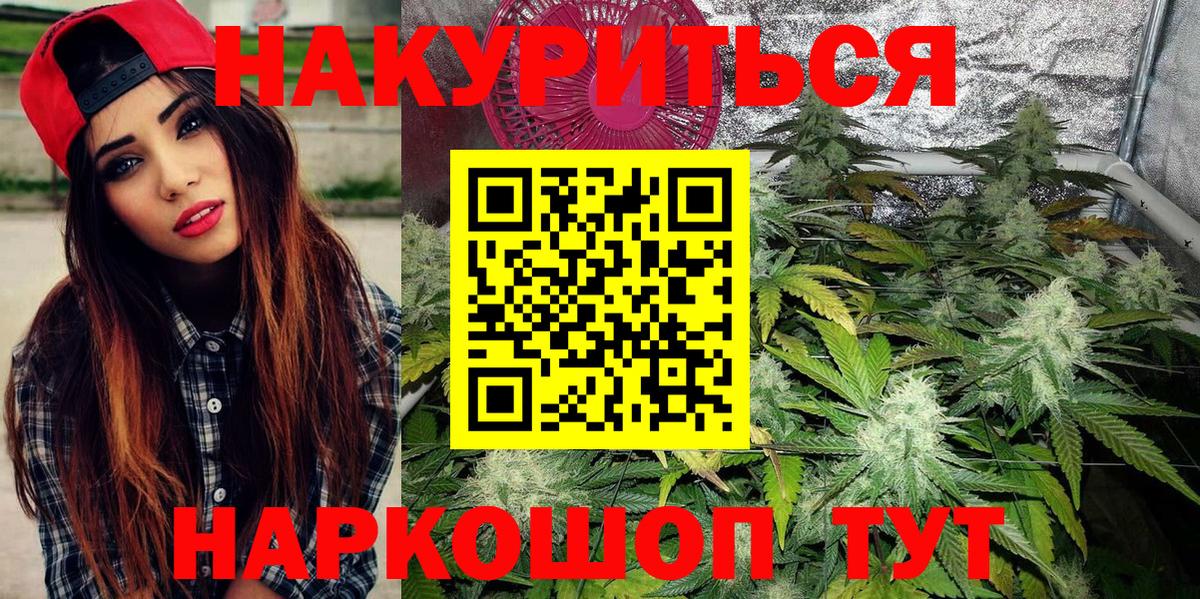 Канабис OG Kush Нижний Новгород